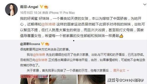 柴森妻子爆料视频大全集,揭秘婚姻背后的真相