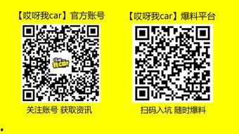 长沙最新事件爆料视频,视频揭秘惊人真相，引发社会热议