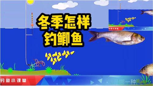 爆料钓鱼真相大全最新版,揭秘网络陷阱，守护您的信息安全  第3张