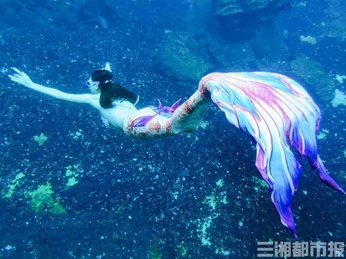 长沙美人鱼爆料视频大全,水下奇观背后的神秘故事  第2张