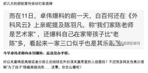 卓伟爆料白百何事件视频,卓伟独家视频揭露惊人真相  第3张