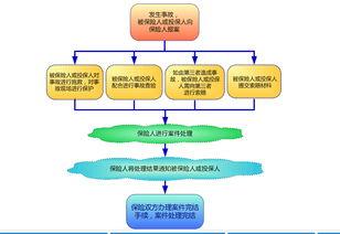 保险理赔爆料流程视频播放,视频解析全解析  第2张