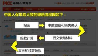 保险理赔爆料流程视频播放,视频解析全解析  第3张
