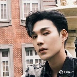 明星爆料袁昊视频,揭秘明星圈层不为人知的幕后故事  第2张