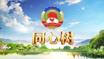 浙江卫视今日关注爆料,揭秘热门事件背后真相  第2张