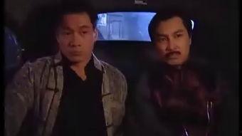陈真在线观看,武侠传奇，在线重温经典  第2张