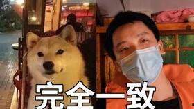 贺峻霖被老师爆料了吗视频,贺峻霖被老师爆料视频引发热议  第2张
