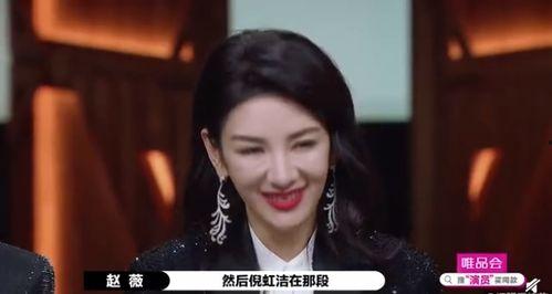 爆料二代燕子视频大全集,揭秘视频大全集背后的精彩故事  第2张