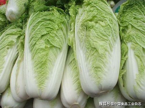 白菜吃鸡爆料视频大全,揭秘热门爆料视频背后的精彩瞬间  第3张