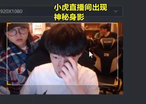航哥邻居爆料视频,一场意想不到的邻里风云  第3张