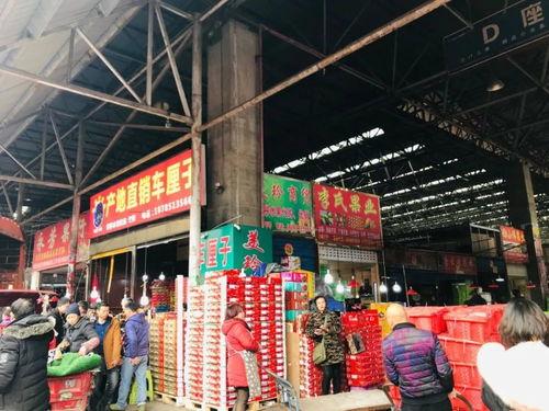 真实爆料批发市场图片视频,真实爆料下的图片与视频全景  第2张