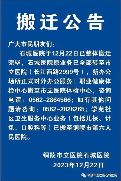 石城最新爆料,揭秘最新热点事件内幕  第2张