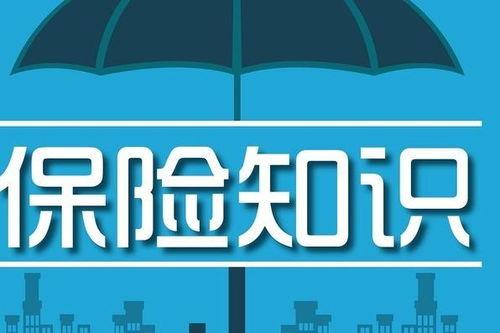 爆料保险知识大全最新,最新爆料，全方位解读保险行业奥秘