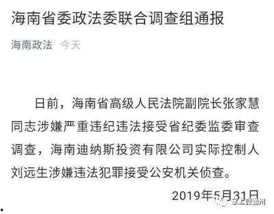 海南省政府爆料案件最新,重大案件细节曝光，真相大白！  第2张