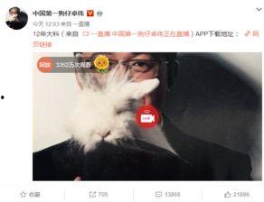 泰国真实爆料事件视频在线观看,揭秘幕后的惊人真相  第2张