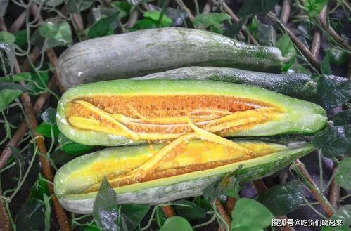文安吃瓜是哪个网红,揭秘网红背后的故事  第2张