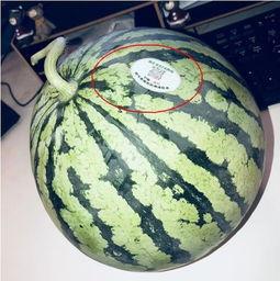 网红吃瓜 最新,揭秘娱乐圈幕后真相  第2张
