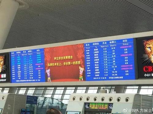 杭州最新爆料新闻,揭秘某神秘项目背后真相  第3张