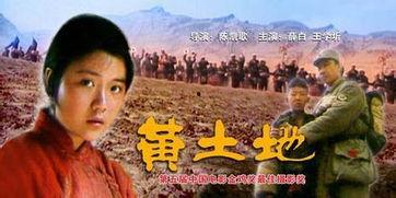 黄土地电影在线观看,探寻中国农村变迁的影像史诗  第2张