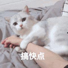 暴走美梦爆料视频,带你领略梦境中的奇幻冒险之旅  第3张