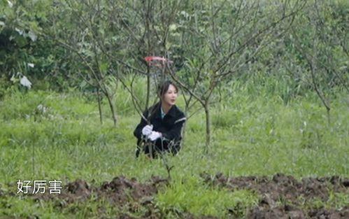 娱乐圈内幕爆料少年团,少年团背后的惊人内幕  第3张
