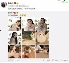 内娱今日爆料微博最新消息,最新热点事件揭秘,明星动态一网打尽! 第3张 内娱今日爆料微博最新消息,最新热点事件揭秘,明星动态一网打尽! 第3张