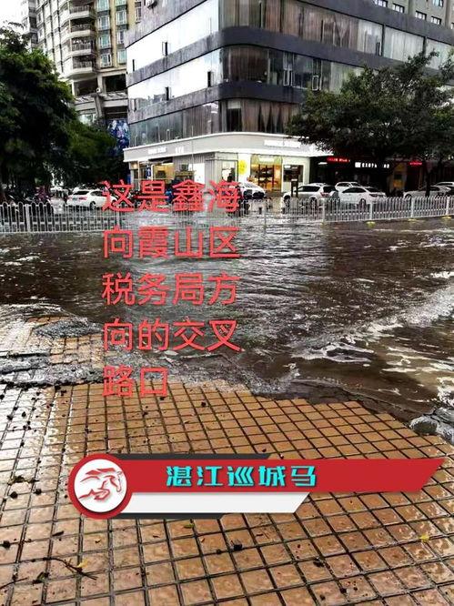 湛江市民爆料最新,惊现神秘事件,真相令人震惊! 第2张 湛江市民爆料最新,惊现神秘事件,真相令人震惊! 第2张