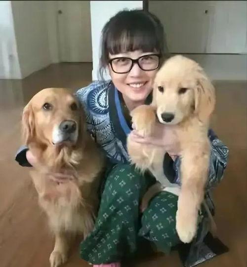 娱乐圈爆料50条狗是谁,揭秘50位明星背后的神秘“狗友”