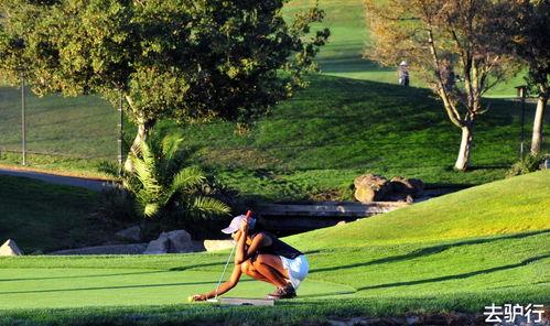 娱乐圈爆料50条狗是谁,揭秘50位明星背后的神秘“狗友” 第3张 娱乐圈爆料50条狗是谁,揭秘50位明星背后的神秘“狗友” 第3张