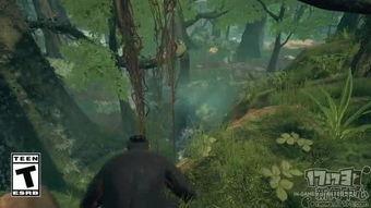 最新先祖爆料视频,探寻历史真相的全新视角  第3张