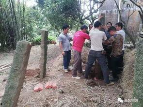 农村老田最新爆料  第3张