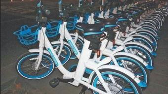 十七岁的单车在线观看,青春岁月里的追梦之旅  第3张