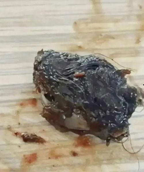 鸭脖事件爆料最新消息,爆料细节曝光，真相即将揭晓  第3张