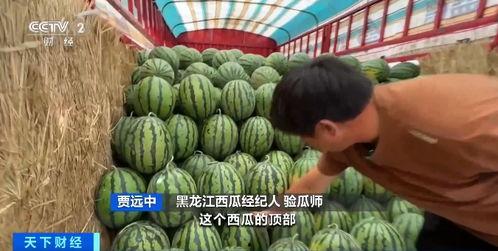 哪个平台吃瓜免费,带你领略网络娱乐新风尚  第3张