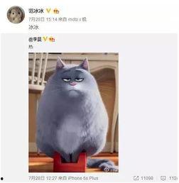 胖猫爆料人视频大全集,揭秘视频大全集背后的精彩瞬间 第2张 胖猫爆料人视频大全集,揭秘视频大全集背后的精彩瞬间 第2张