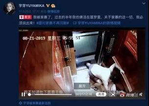 网红爆料家暴视频播放下载,网红爆料引发社会关注  第3张