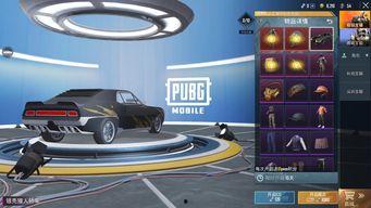 吃鸡最新轿车皮肤爆料,吃鸡战场再添时尚风采