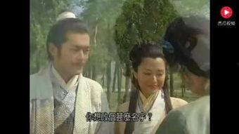 寻秦记 在线观看粤语,穿越时空的奇幻冒险之旅  第2张