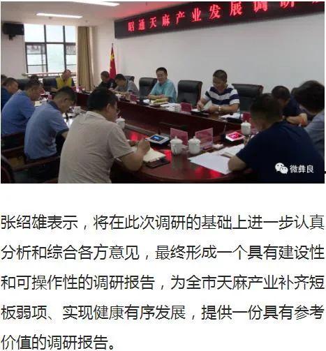 彝良媒体爆料案件最新,最新案件进展引发社会关注  第3张