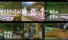 撞够本在线观看  第2张