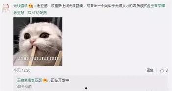 巴哥策划爆料视频,揭秘幕后精彩瞬间  第3张