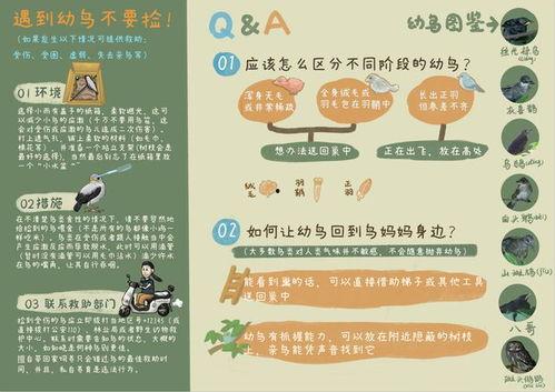 江苏日报爆料新闻热线官网,聚焦民声，传递社会热点  第2张