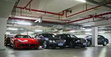 郑州豪车爆料视频最新,揭秘城市繁华背后的奢华秘密  第2张