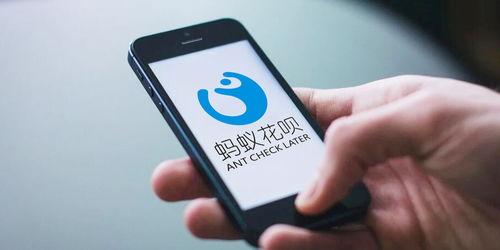 热点爆料美短搞笑视频,萌宠瞬间成喜剧之王  第3张