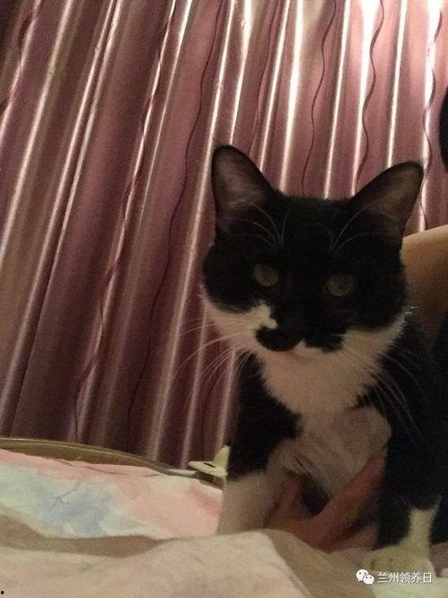 罗小猫猫子闺蜜爆料视频,揭秘背后惊人真相  第3张